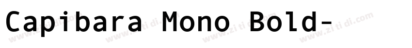 Capibara Mono Bold字体转换